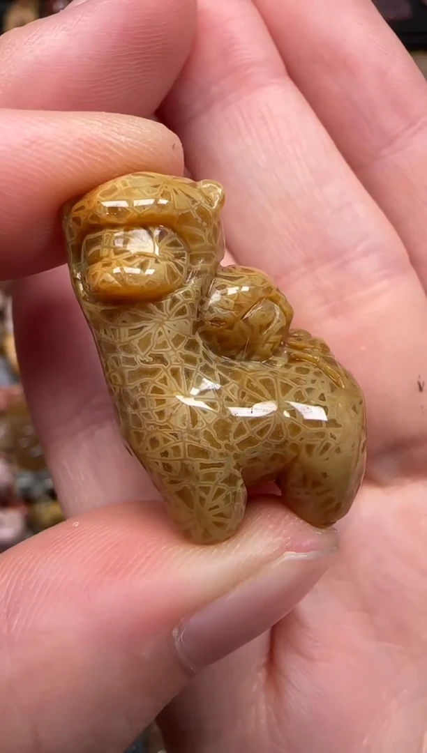 硅化珊瑚（珊瑚玉）未镶嵌颈饰115
