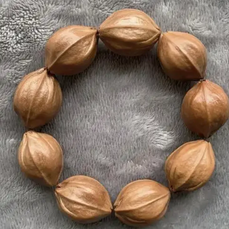 梅林铁核橄榄核！19大尺寸-原生态无嫁接，限量发售，手慢无！