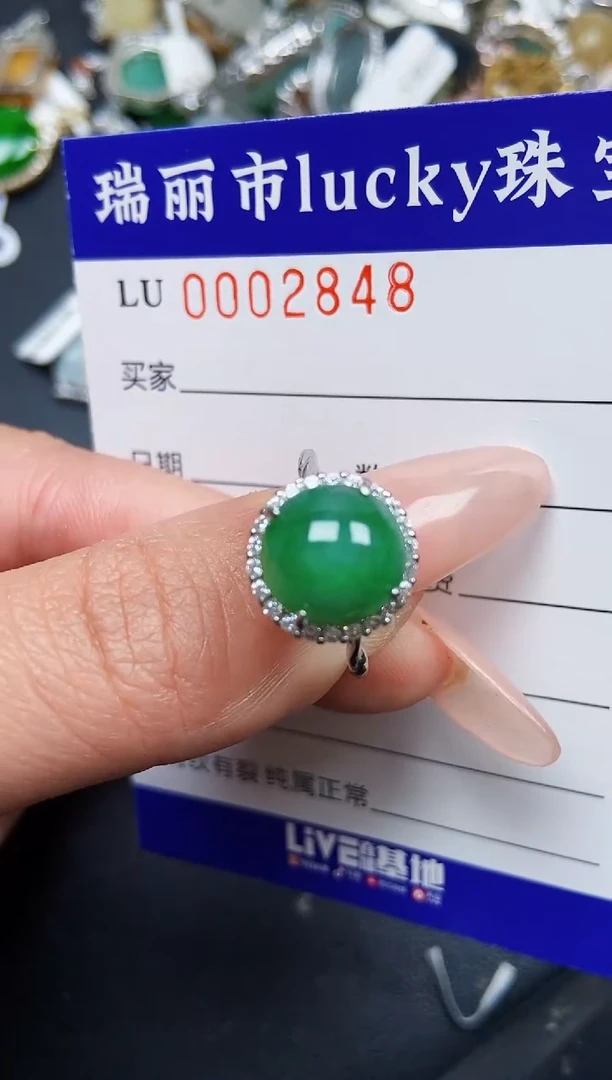 【闪购商品】翡翠颈饰银S925镶嵌2848