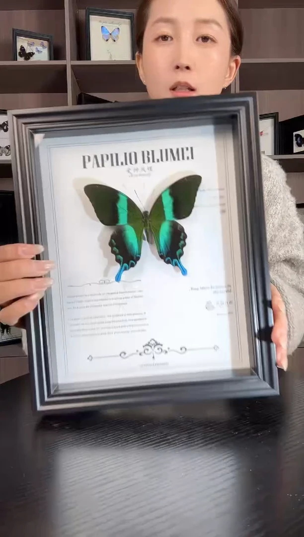 实木竖款爱神凤蝶（蝴蝶装饰画A4框）