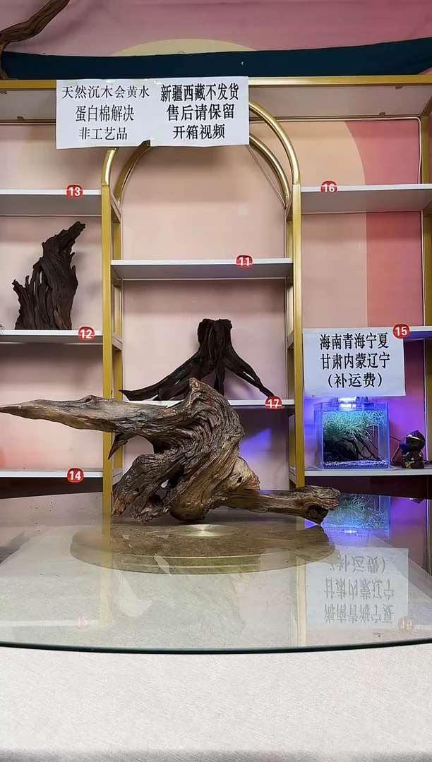 ?***神紫柚木一物一拍A678