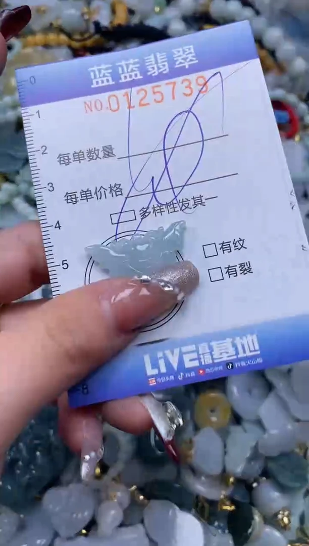 【闪购商品】翡翠颈饰未镶嵌闪购0125739