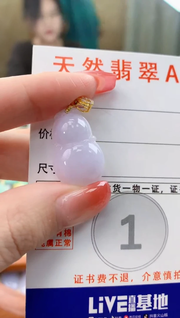 颈饰未镶嵌翡翠天然A货翡翠挂件