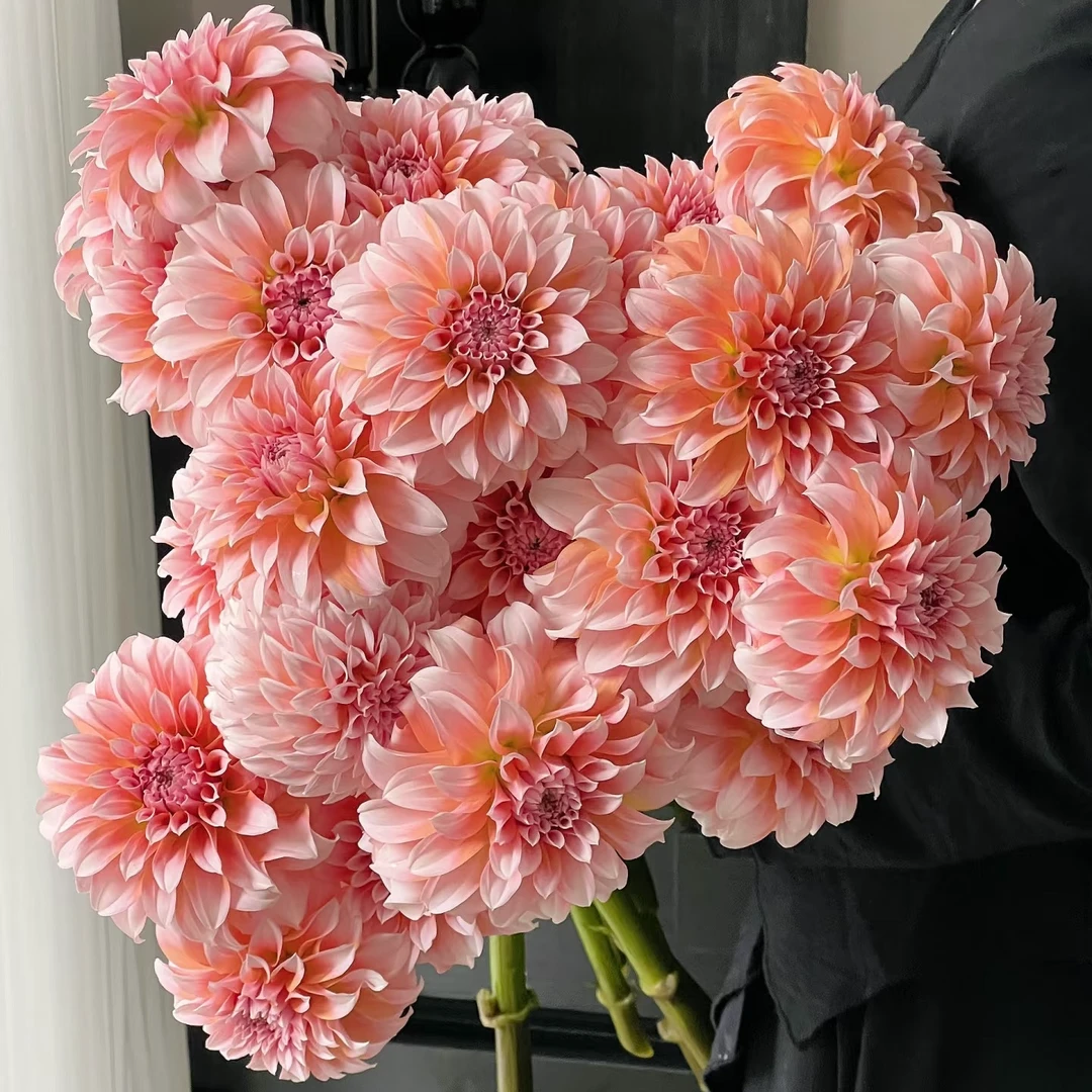 【奶油桃子】任意两单及两单以上鲜花顺丰包邮发货