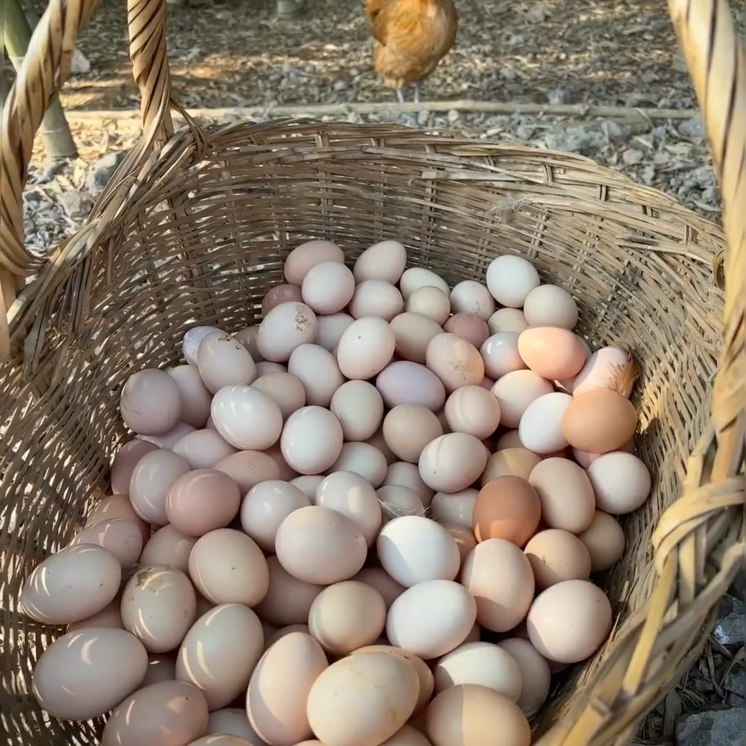 狼牙山土鸡蛋散养跑山鸡溜达鸡京次日达3斤起新鲜