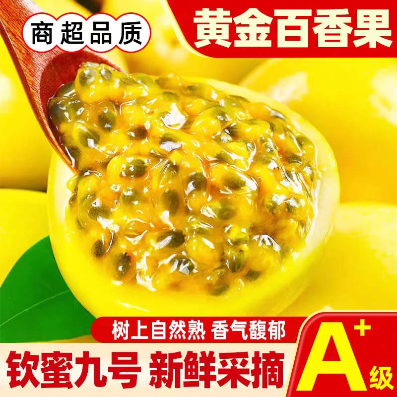 钦密九号广西当季黄金百香果产地直发新鲜大果孕妇水果现摘包邮