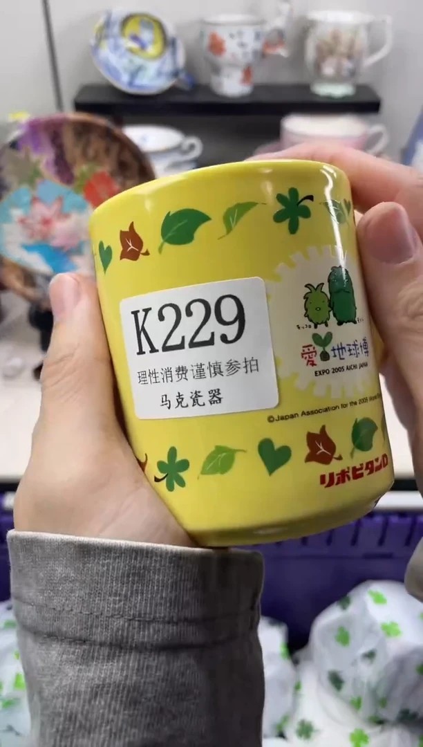 瓷片石                 K229