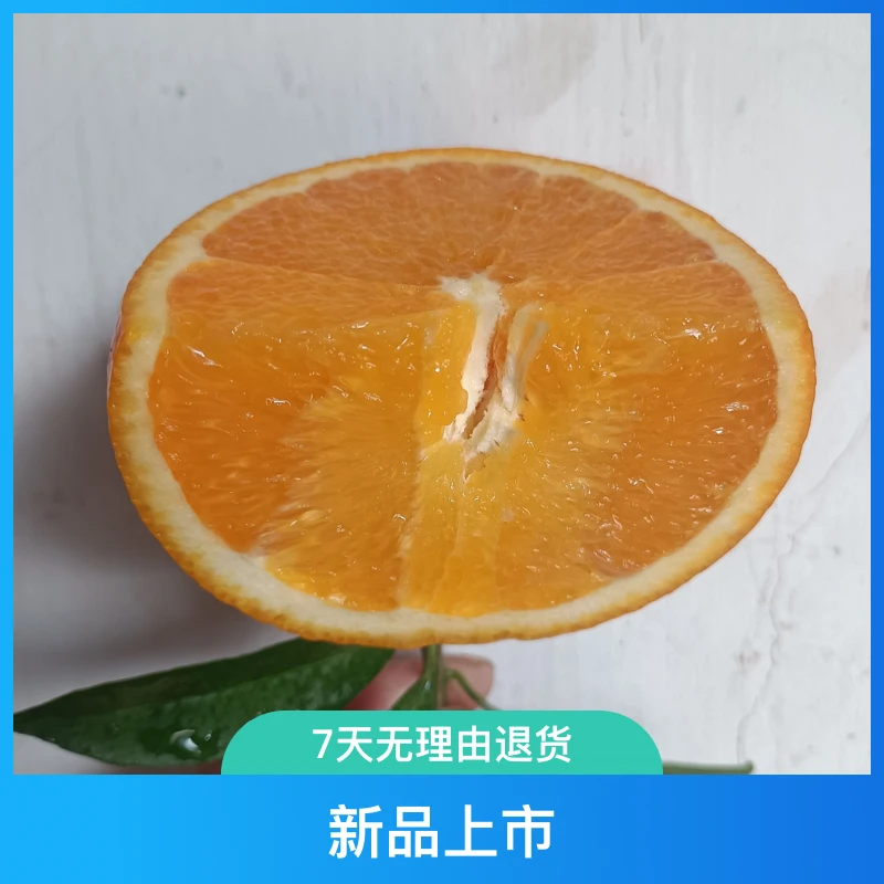 秭归脐橙新品夏金新鲜应季产地直发5-10斤装箱春季伦晚脐橙
