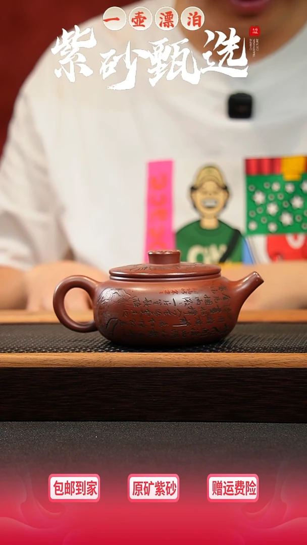 茶壶紫砂 一壶漂泊紫砂茶器-2010