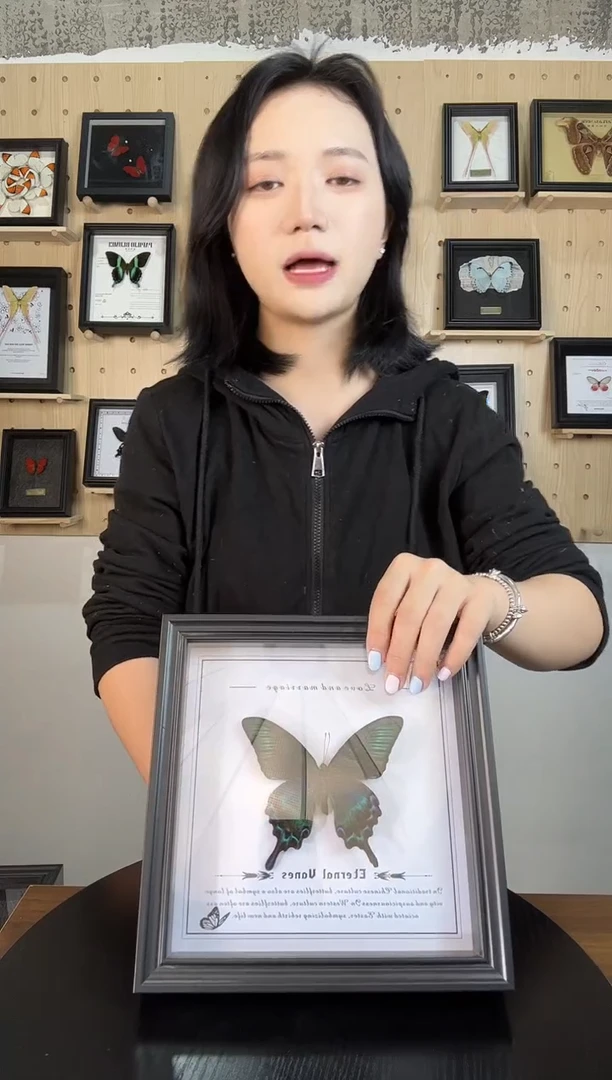 绿带翠凤蝶（蝴蝶装饰画8寸框）