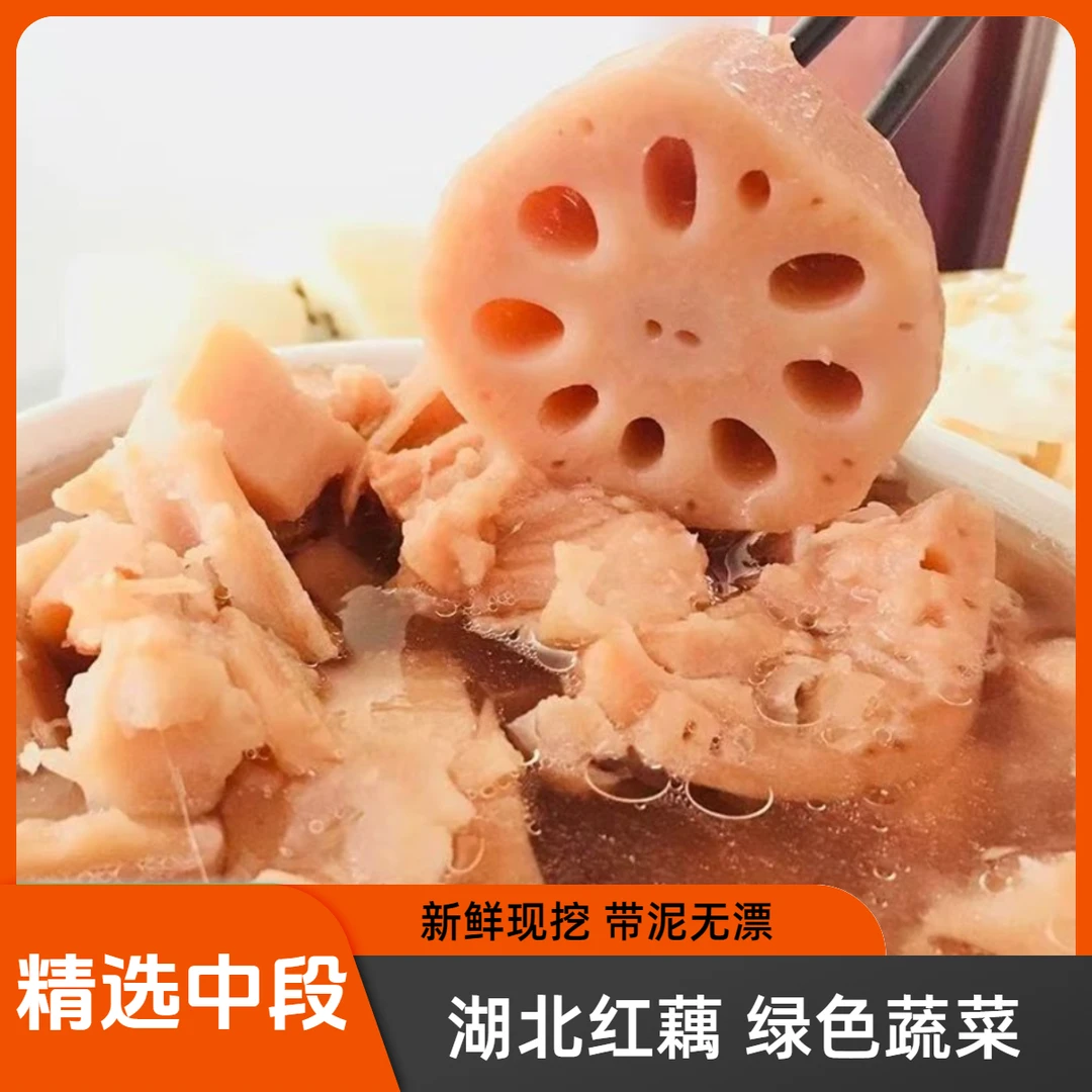 【洪湖粉藕】新鲜煲汤粉藕现挖中段红莲藕煨汤炖汤糯米藕绿色无添加