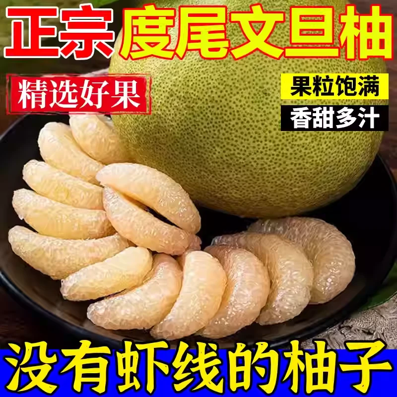 【产地直发】福建仙游度尾文旦柚白心柚新鲜当季现摘现发酸甜多汁Y1