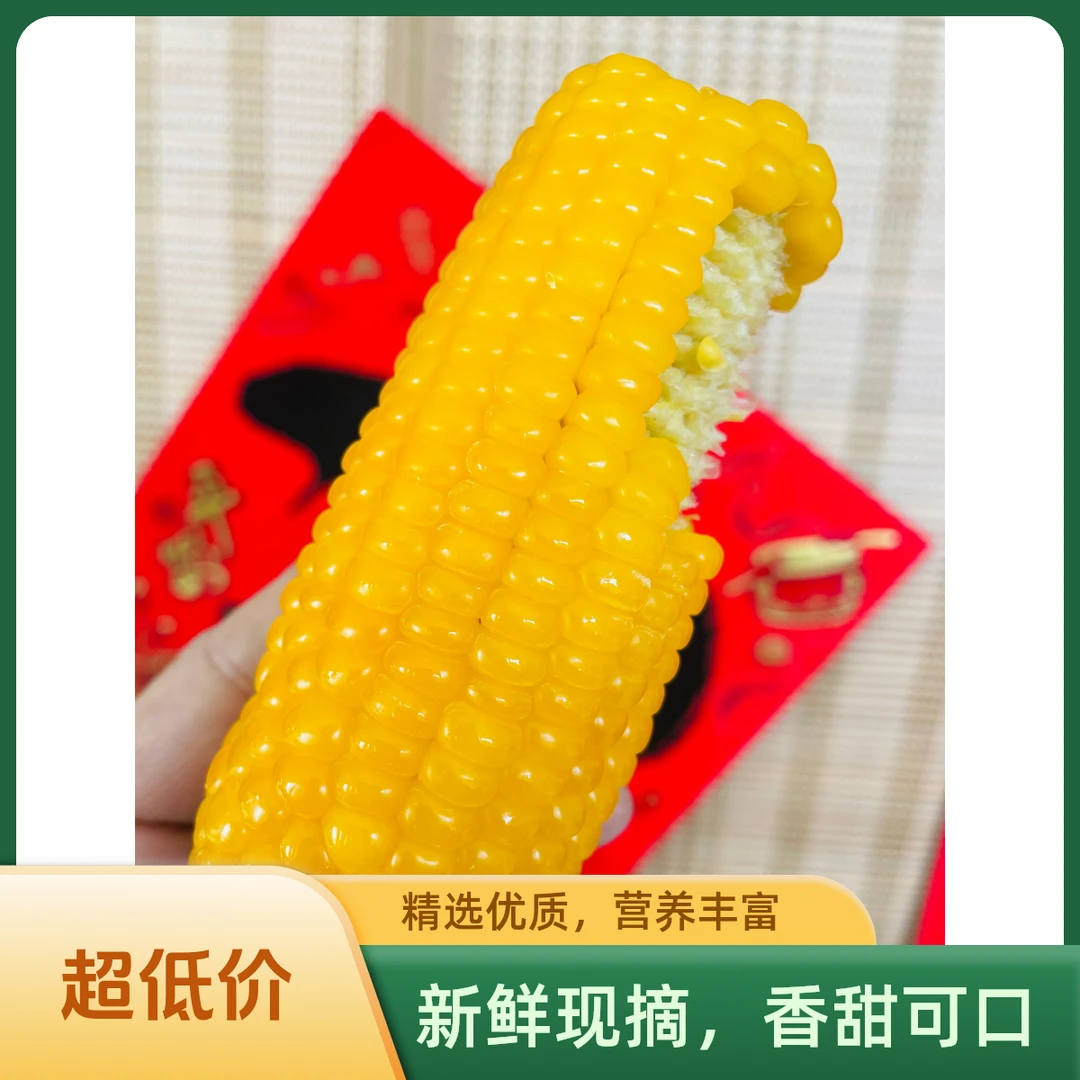 【开业福利】9根黄糯玉米/软糯好吃/每根8厘米