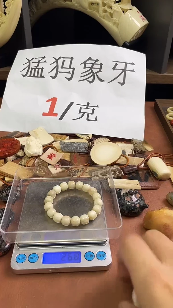 猛犸秋秋半山半水11*10老型单圈