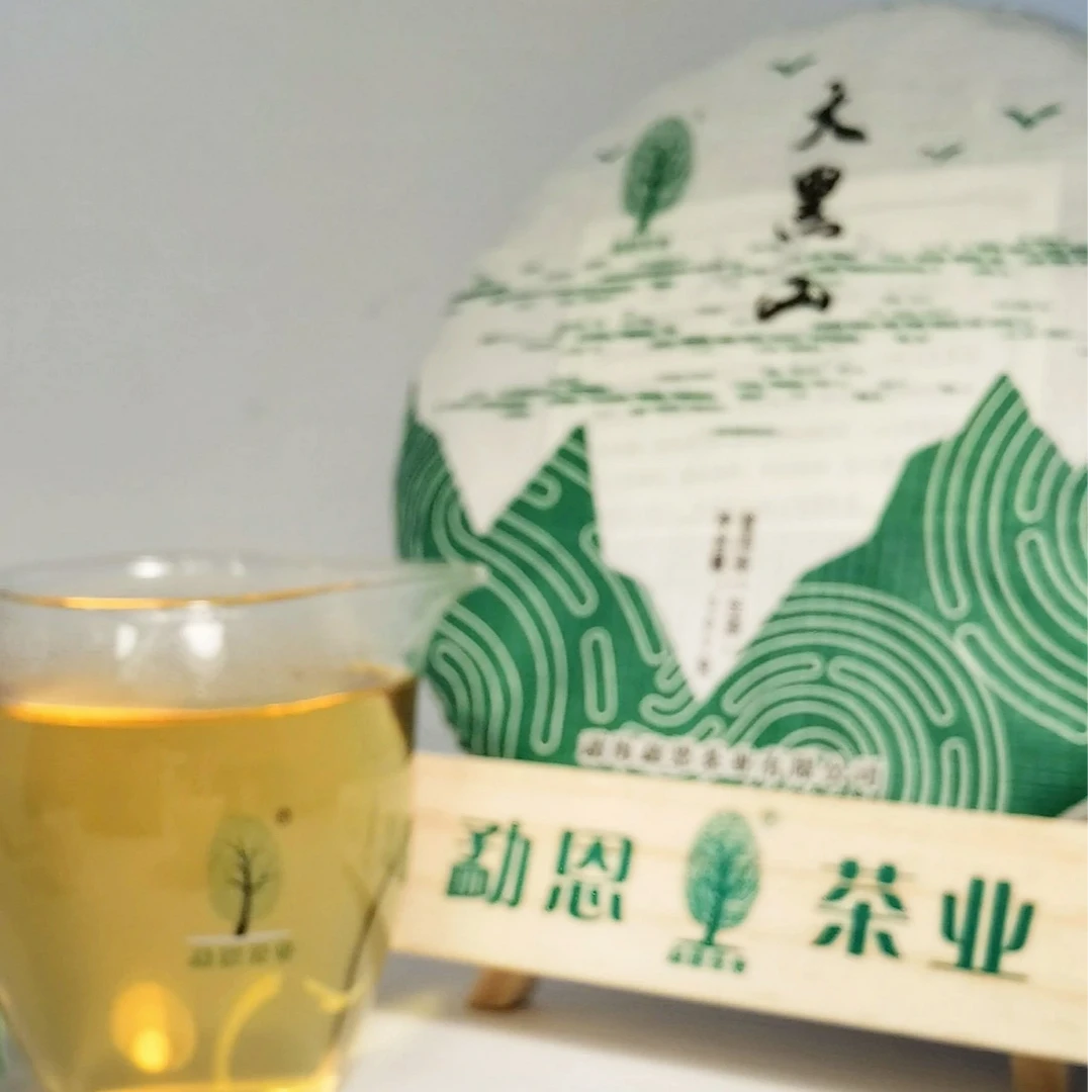 【大黑山】云南西双版纳普洱茶生茶古树茶叶茶饼适合自饮口粮茶