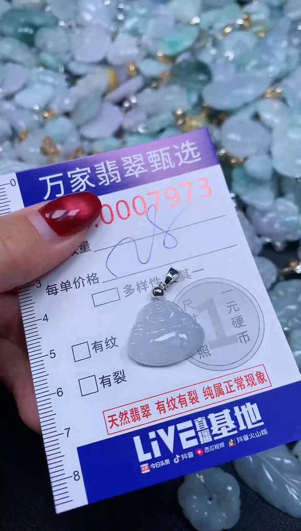 颈饰未镶嵌翡翠7973