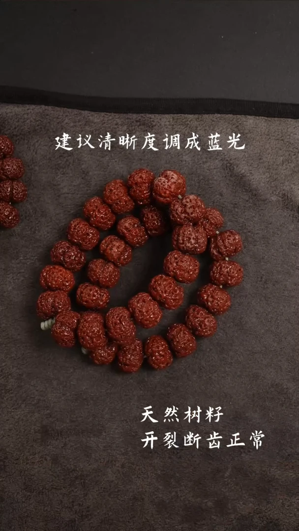 金刚菩提手串五星双龙夹板大金刚23.399