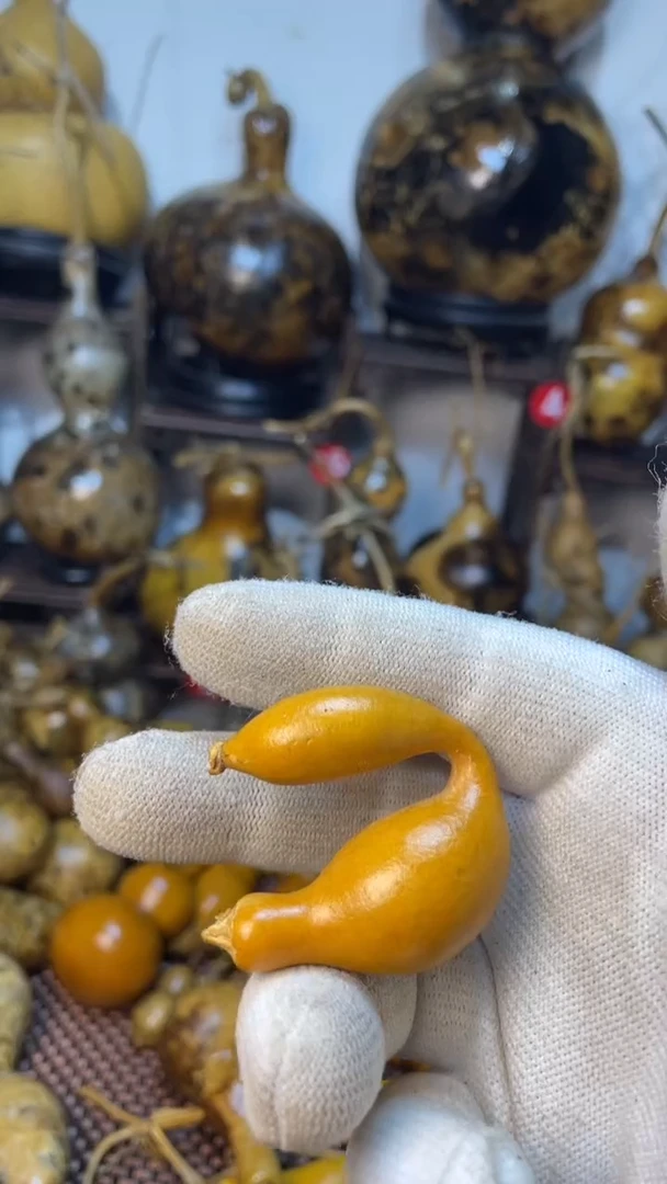 【闪购商品】葫芦葫芦葫芦葫芦