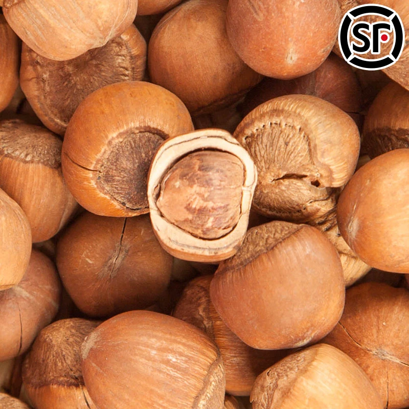 溪味道东北山榛子500g手拍坚果铁锅笨炒浓香大火平榛