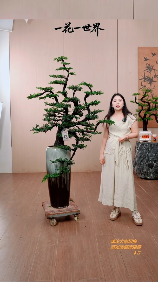 无花朵婍78号链接