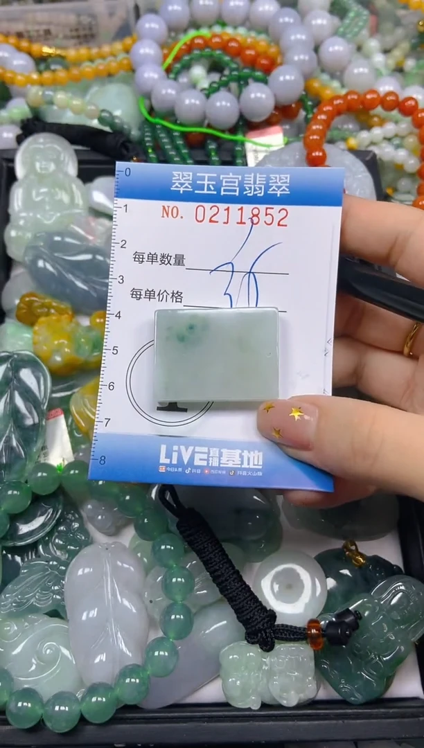 颈饰未镶嵌翡翠闪购C0211852