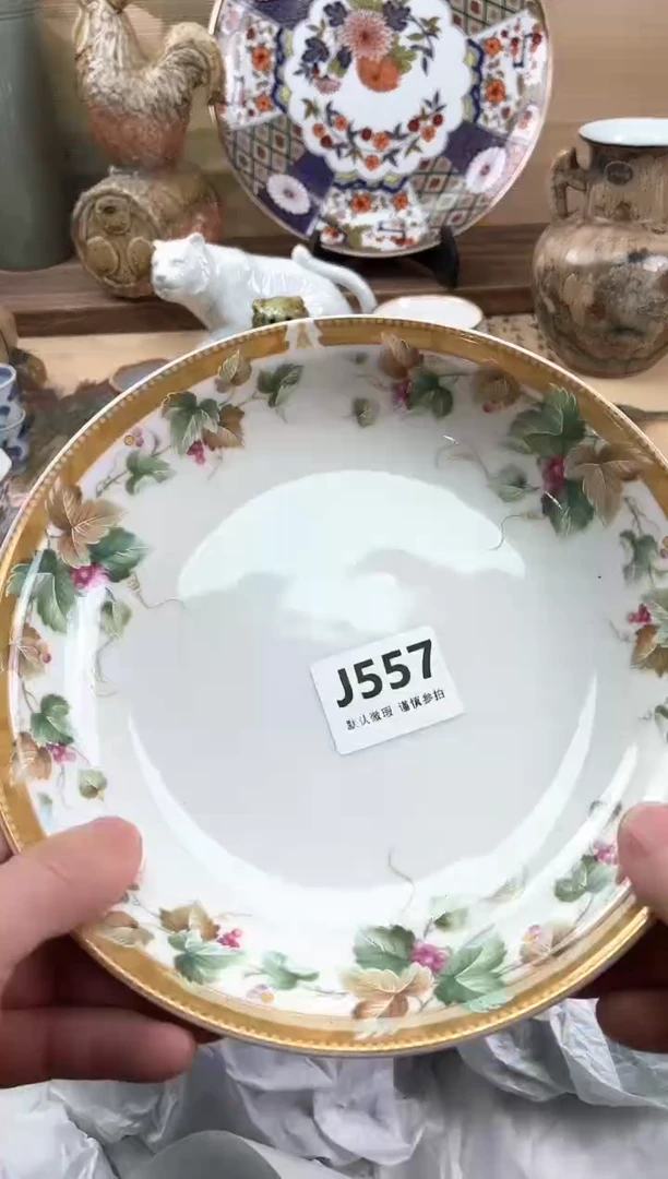 瓷片追**子557