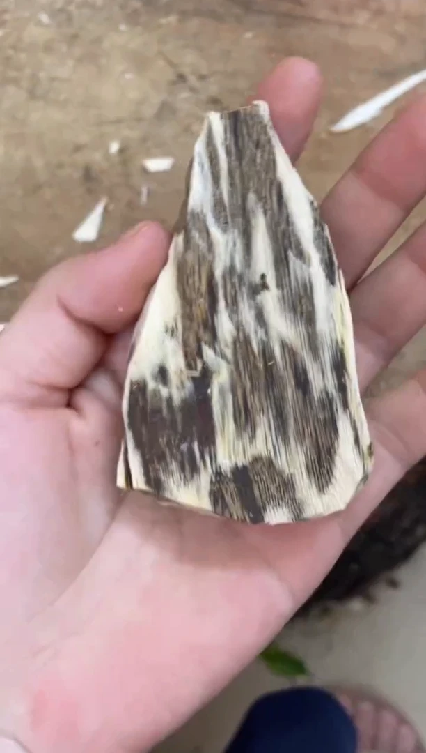 沉香碎屑沉香棋楠沉香 原料文创1