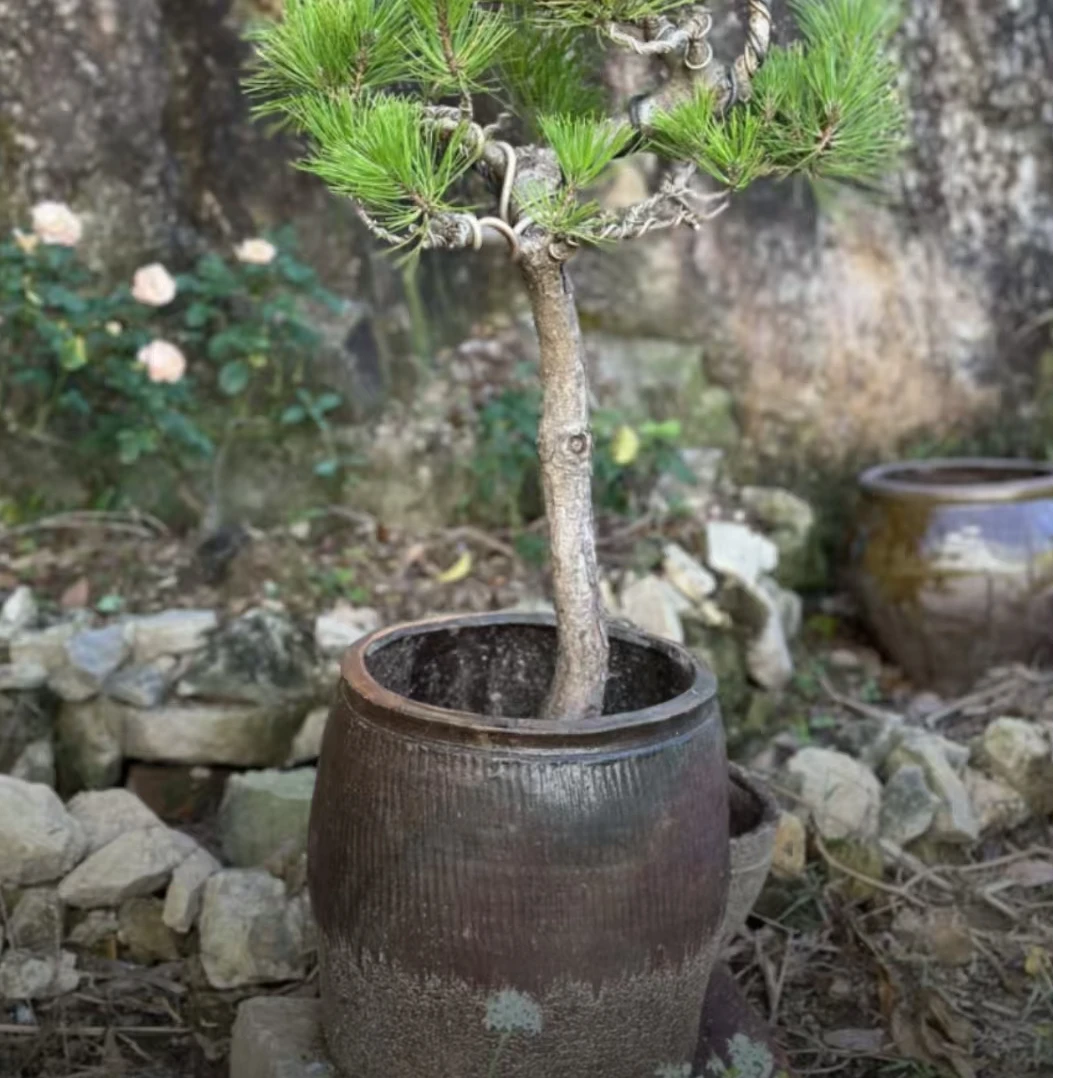 老陶罐老花盆一线下乡物件