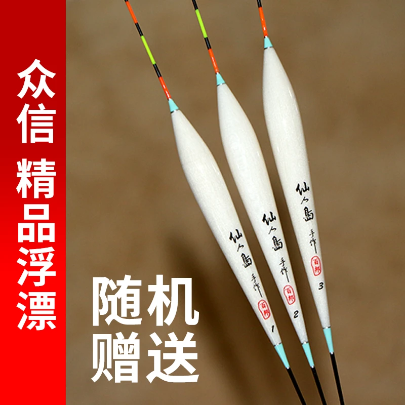 众信精品浮漂一支