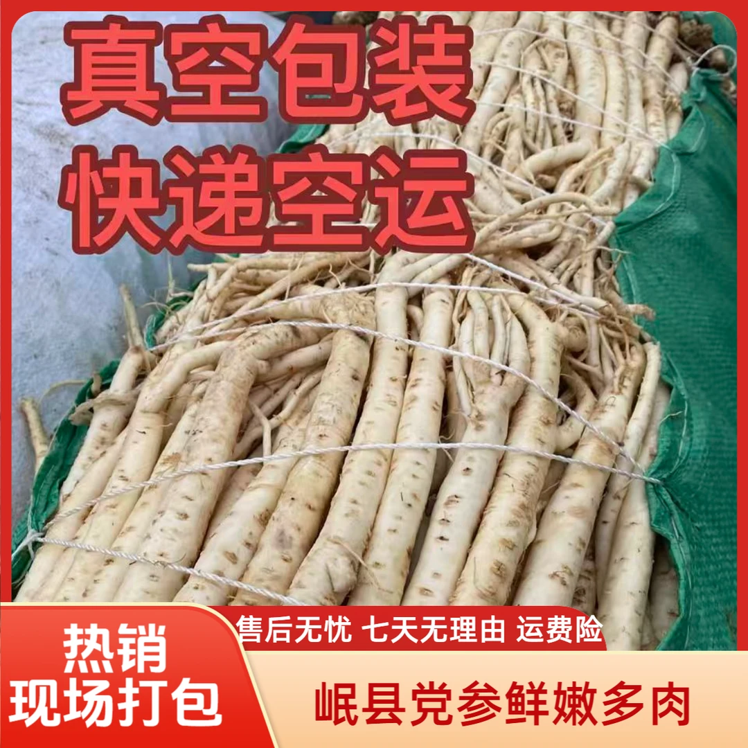 现挖甘肃岷县高原鲜党参 真空包装 煲汤煮水产地直发