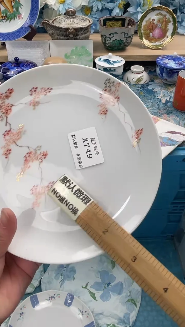 瓷片?*静X749默认微瑕闪购默认库存一件