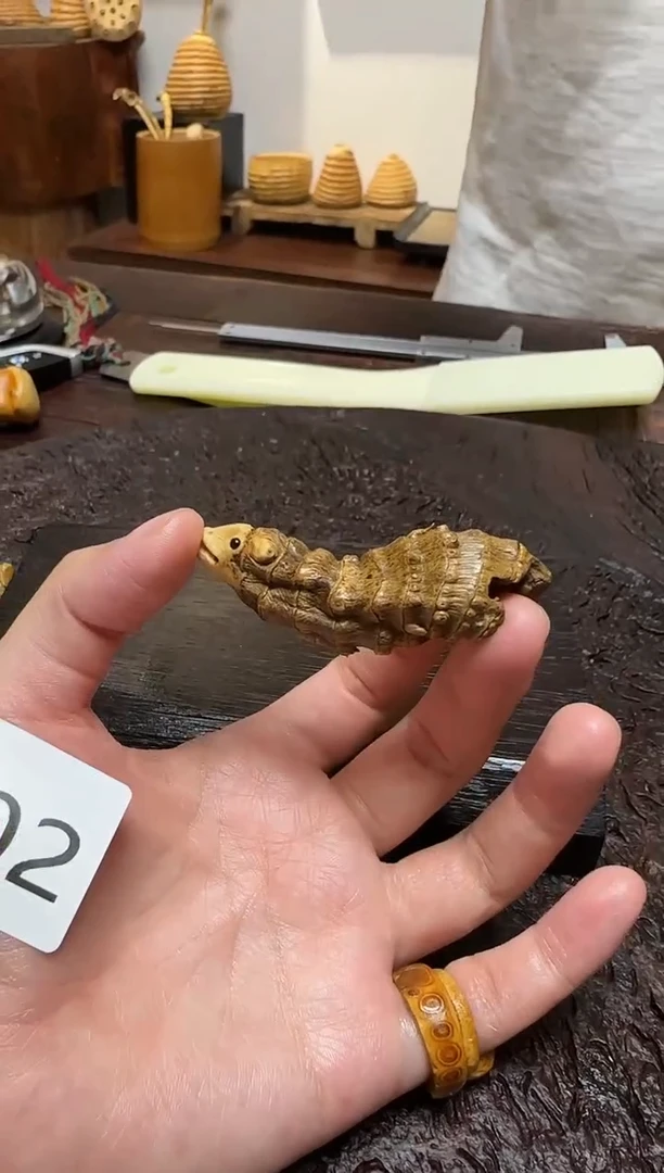 竹1902竹根竹根竹根