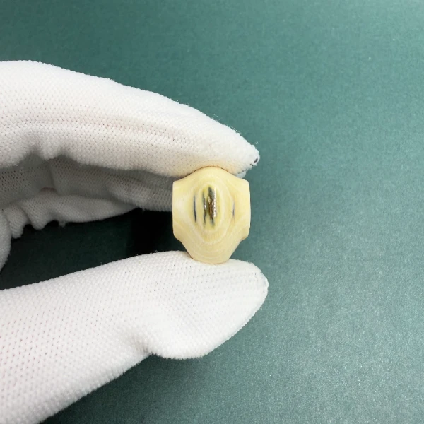 H5459天然猛犸牙 蓝眼 鲨鱼背三通 支持鉴定 假一罚四