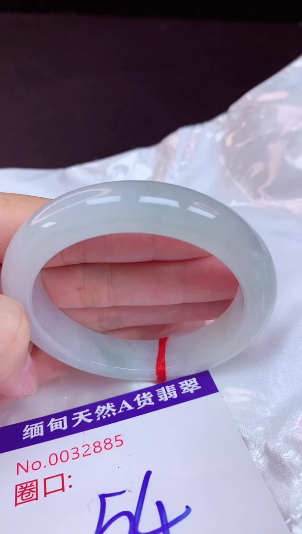 未镶嵌手镯翡翠54