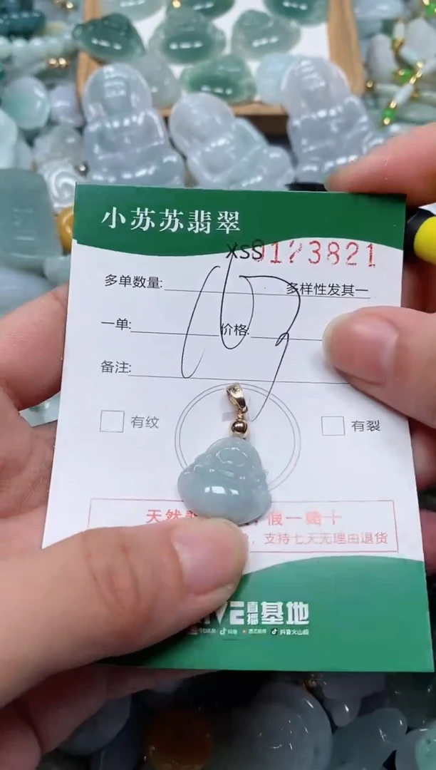 【闪购商品】翡翠颈饰未镶嵌闪购商品0123821