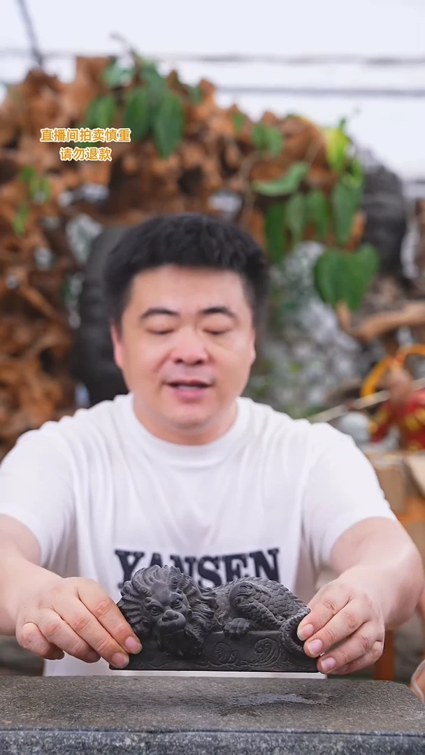 当前无花栽培后可以开花瑞兽镇尺347+