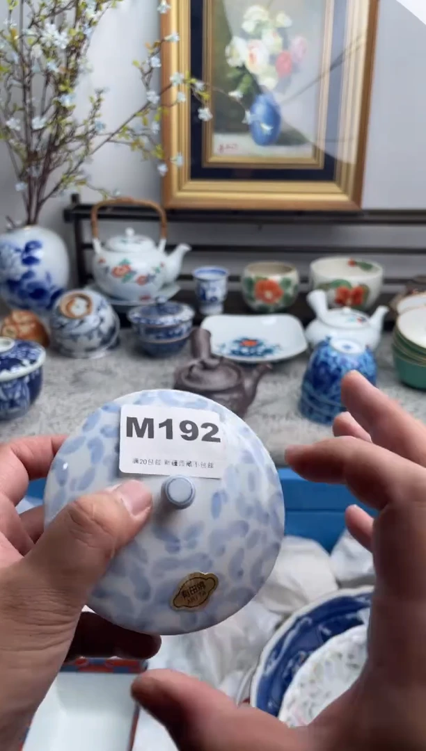 瓷片s**l192-M-