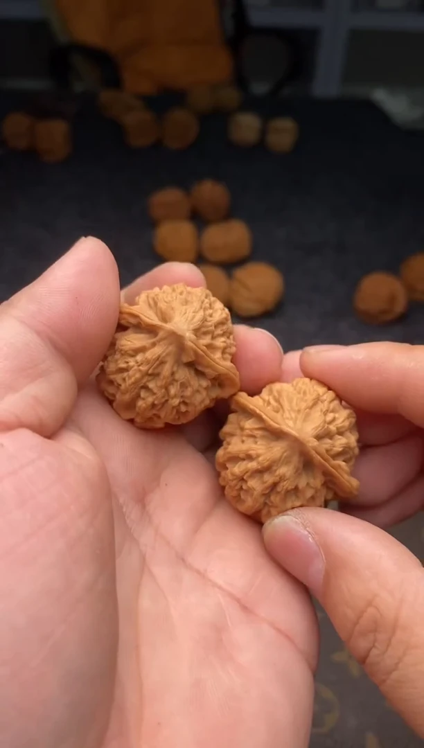 把件文玩核桃B224号37尺金牛