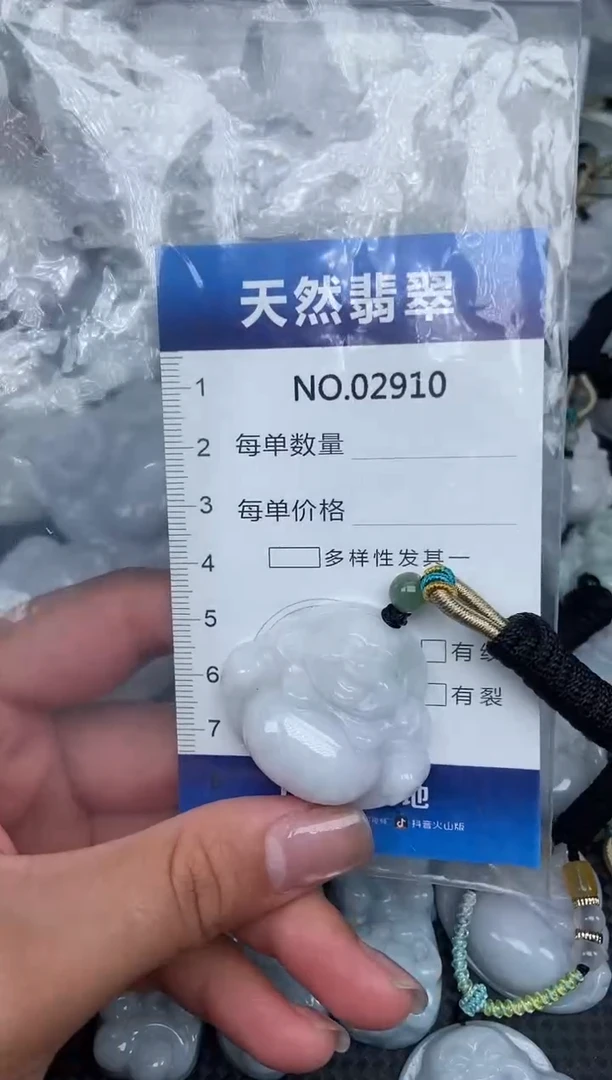颈饰未镶嵌翡翠纯天然A货翡翠2910