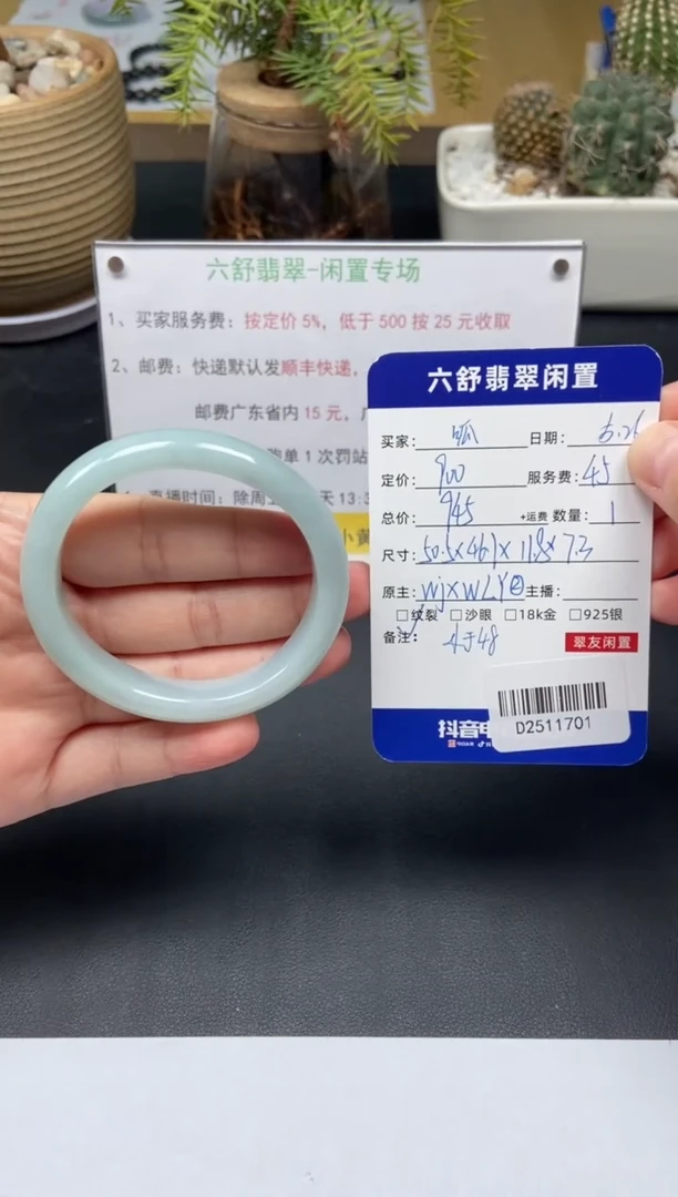 翡翠手镯未镶嵌D2511701