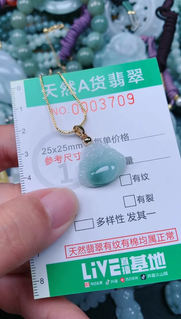 颈饰未镶嵌翡翠.0003709