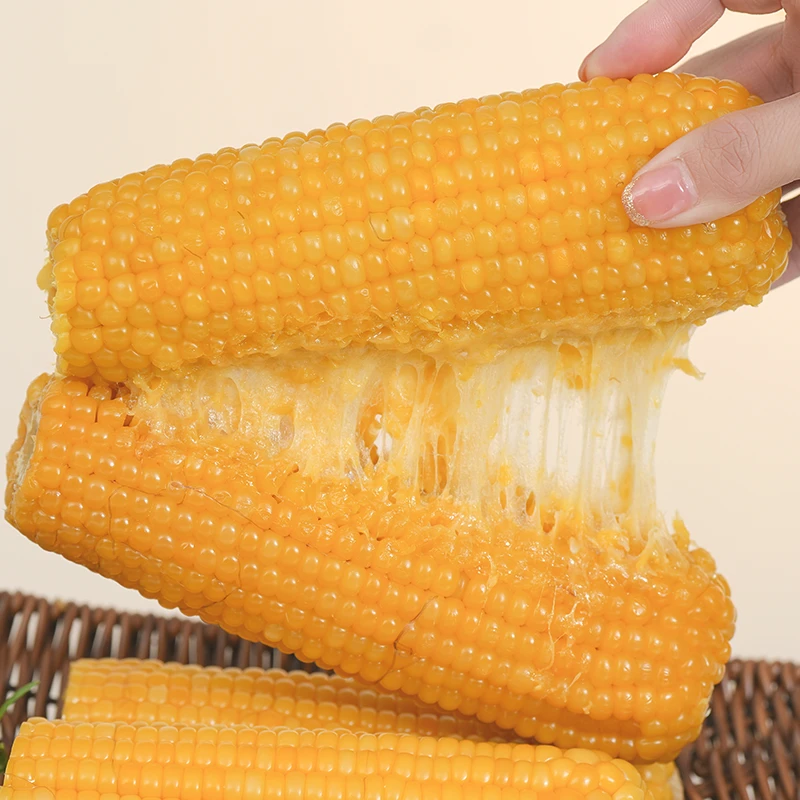 【2025年头茬】东北黄糯玉米独立真空包装包装小棒（15-16CM）2000g