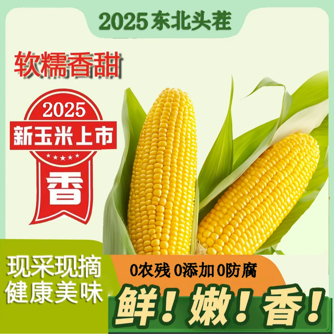 【25年头茬】东北黄糯玉米鲜香粘糯粗粮代餐真空锁鲜试吃2根