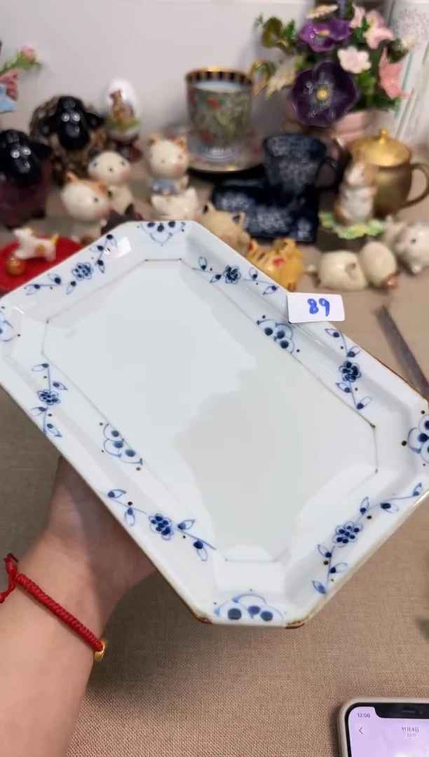 瓷片辰辰家的瓷器真好看