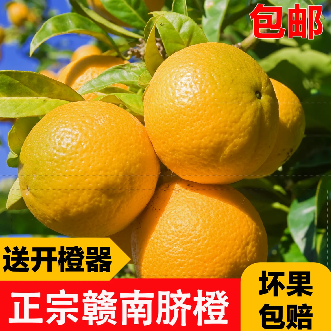 正宗江西赣南脐橙香甜多汁自家果园新鲜发现摘现发榨汁