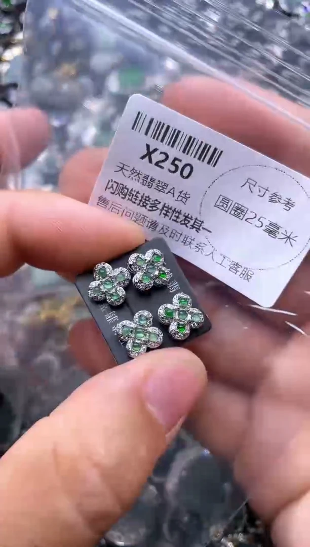 【闪购商品】翡翠颈饰未镶嵌X250耳钉 多样性发其一