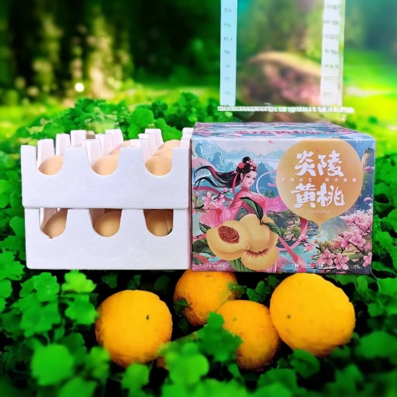正宗炎陵黄桃 10斤装 16-22颗装 精品礼盒 现摘现发 顺丰空运
