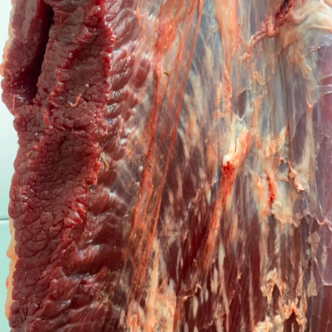 【丰野】新鲜黄牛牛胸口肉拉面牛肉5斤