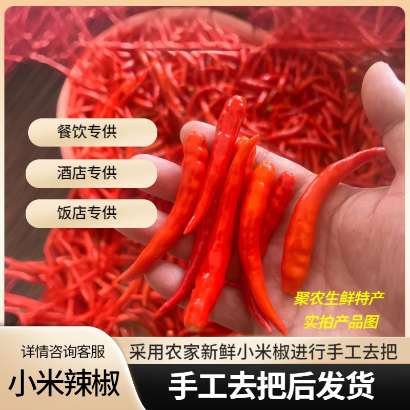 【手工去把泡沫箱发货】新鲜小米辣椒去把光头强饭店餐饮专用