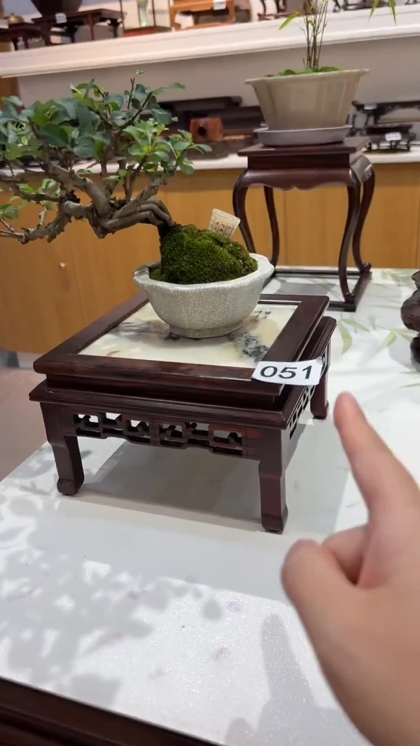 紫砂1紫砂紫砂紫砂紫砂紫砂